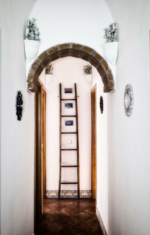 Casa Vitoria Guest House Évora Buitenkant foto